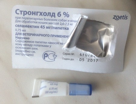 Консенто