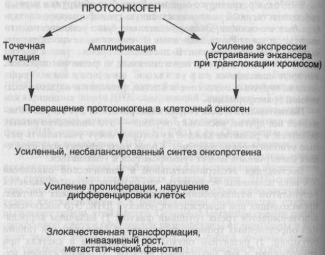 Урсоловая кислота отзывы. урсоловая кислота. в каких продуктах содержитсяурсоловая кислота