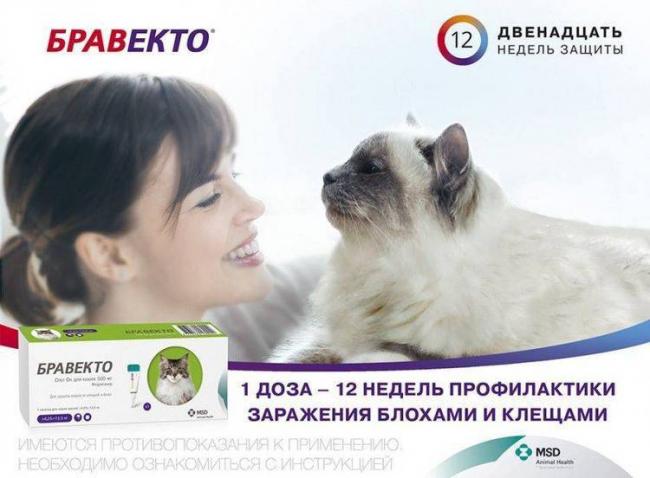 Post navigationПоследние статьи