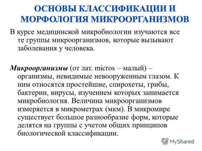 Бактерии представляют собой: а)одноклеточные организмы разной формы;б)одноклеточные и колониальные организмы различной формы;в) многоклеточные, английский язык
