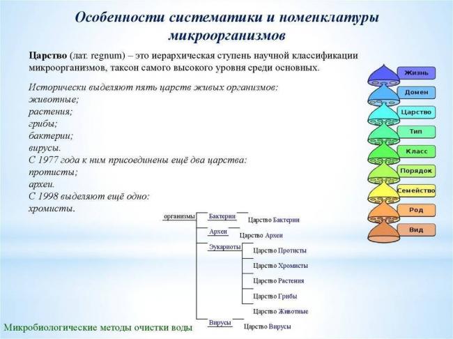 Классификация групп патогенности: все микроорганизмы по местам