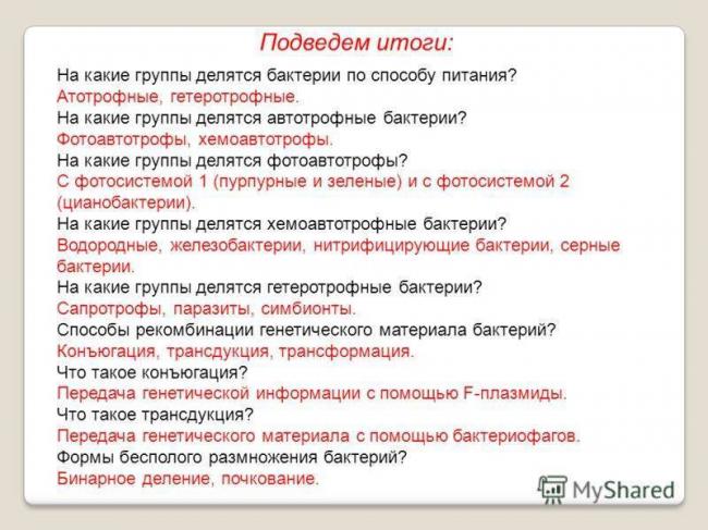 Какие бактерии являются санитарами нашей планеты?