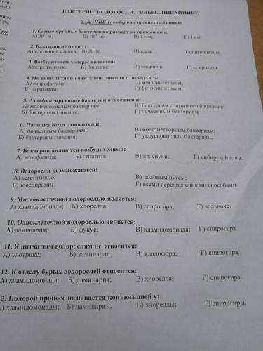 Царства бактерий и грибов: друзья или враги человеку?