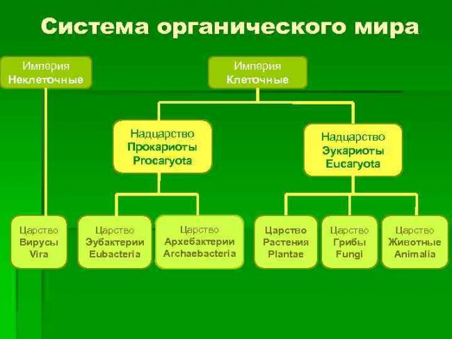 Анаэробные организмы — википедия с видео // wiki 2