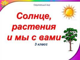 Анаэробные организмы — википедия с видео // wiki 2