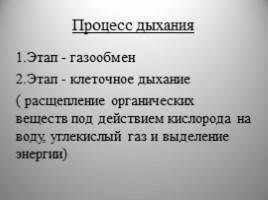 Жизнь на планете всем обязана анаэробным и аэробным бактериям