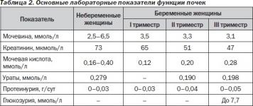 Протеинурия: причины, норма суточной протеинурии и проинурия при беременности