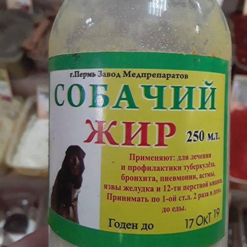 Лечение туберкулеза внутренним собачьим жиром, личный опыт