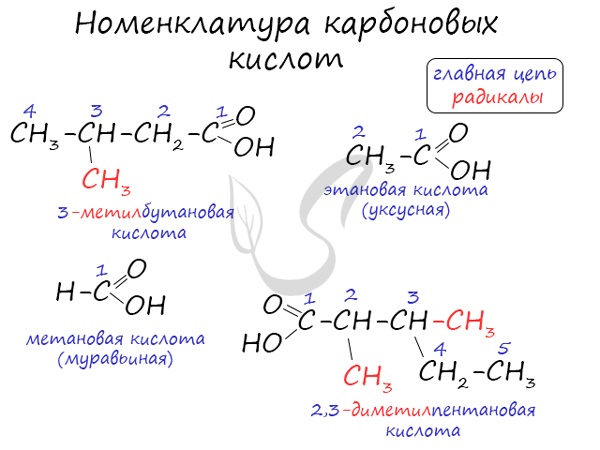 Муравьиная кислота