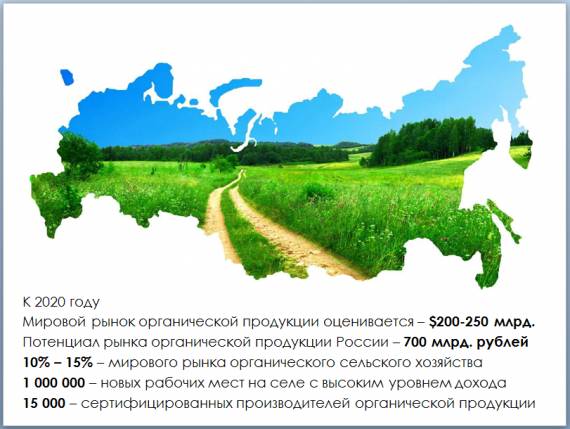 Культурная глобализация - cultural globalization