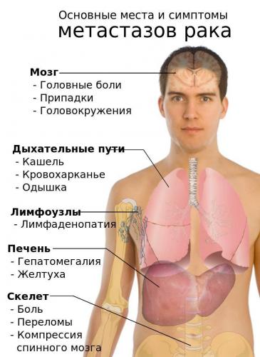 Физические нагрузки: польза или вред для детского организма при астме