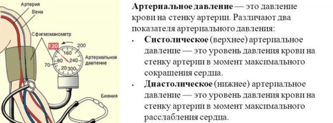 Кровяное давление википедия