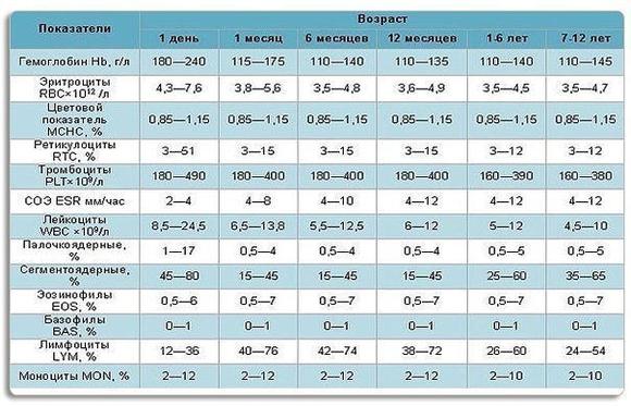 Лимфоциты