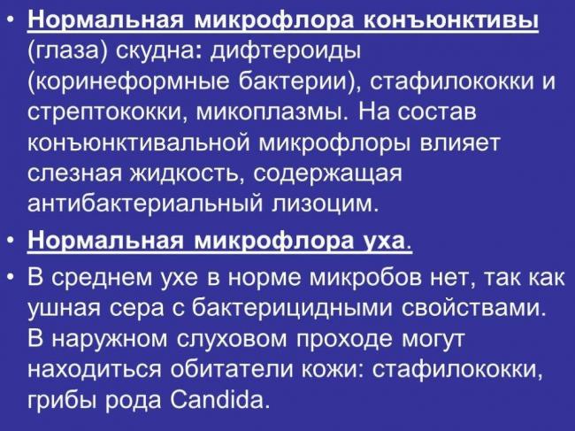 Самые полезные бактерии и их названия