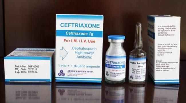 Цефтриаксон кошкам дозировка для лечения