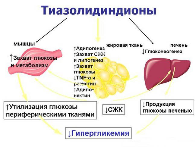 Препарат: випидия в аптеках москвы