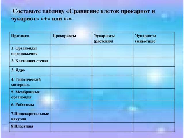 Прокариотическая клетка