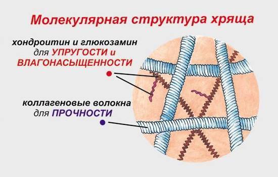 Мазь Хондроитин - от чего помогает