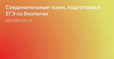 Соединительная ткань - connective tissue - qwe.wiki