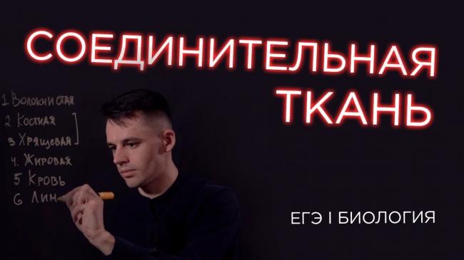 Соединительная ткань – сигнальная система всего тела