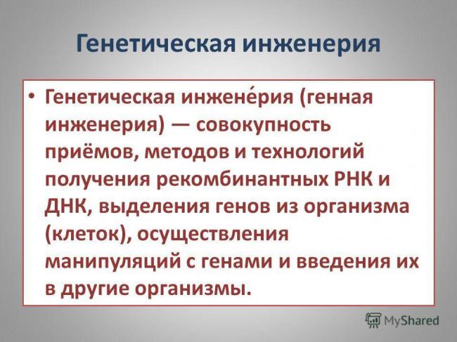 Гмо и другие генетические тайны селекции растений