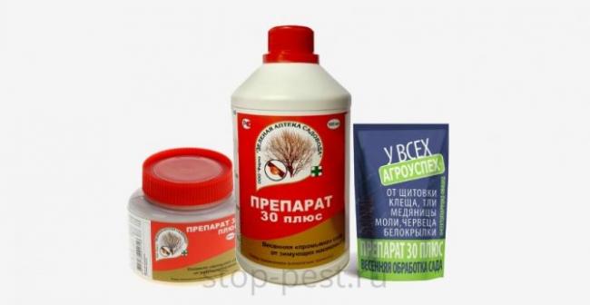 «стожар, рп»