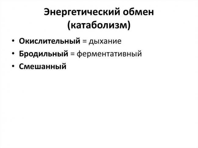 Анаэробные организмы