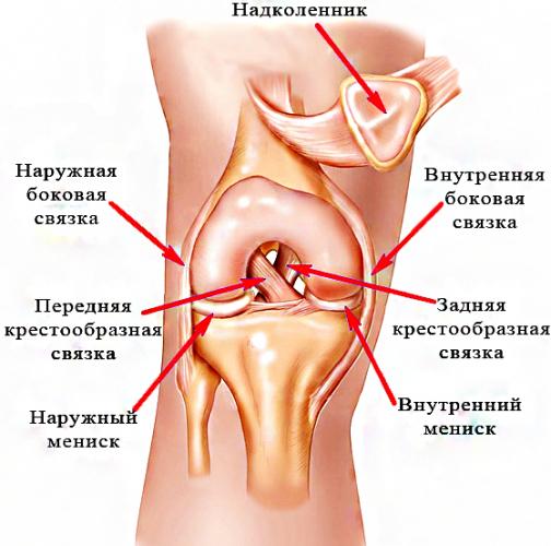Разрыв связок коленного сустава
