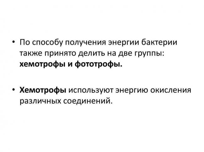 Анаэробные микроорганизмы