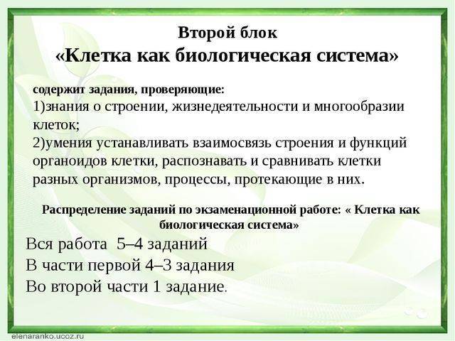 Ворсинки (фимбрии, пили) бактерий