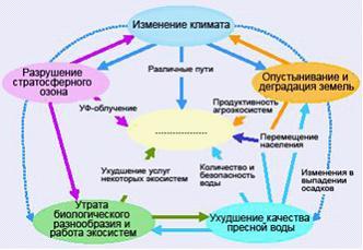 Гиподинамия: последствия, профилактика. лаевская дарья, еперова мария. кгбоу спо «хгмк»,группа лд-11. - презентация