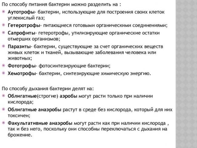 Анаэробные организмы — википедия с видео // wiki 2