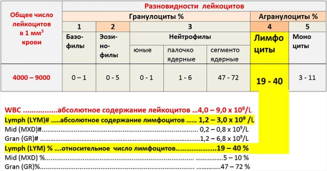Лимфоцитоз