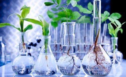 Удивительные результаты генной инженерии ≪ scisne?