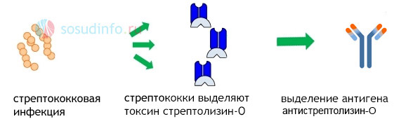 Ревматическая лихорадка. причины, симптомы, признаки, диагностика и лечение патологии