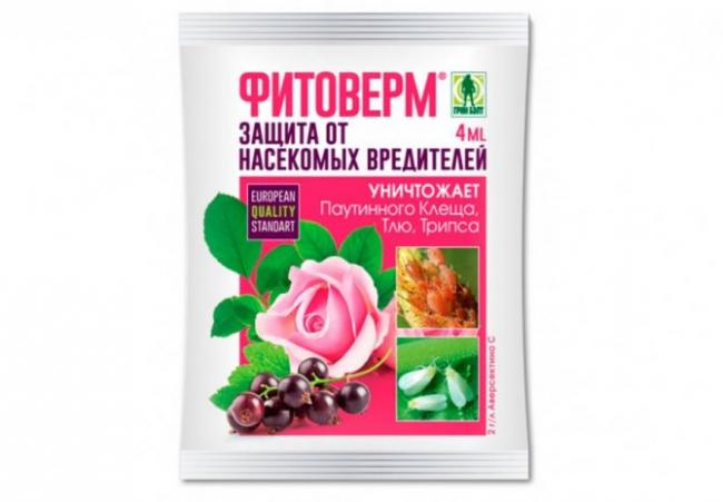 Арриво, кэ