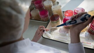 Диабет: может ли таблетка заменить инъекции инсулина? - 2020