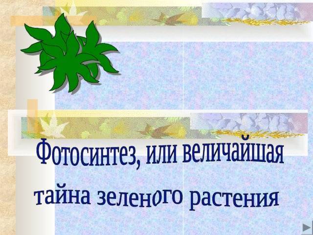 Фотосинтез, что это такое?