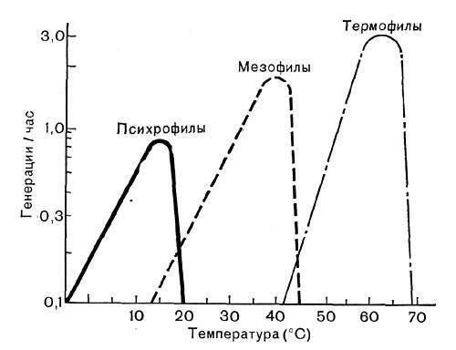 Разница между термофильными и мезофильными бактериями