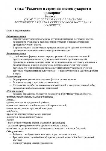 Бактерии-прокариоты – живые «кирпичики» эволюции