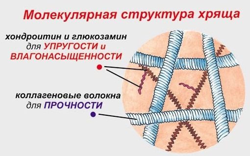 Крем артропант для суставов