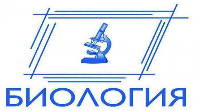 Жгутик
