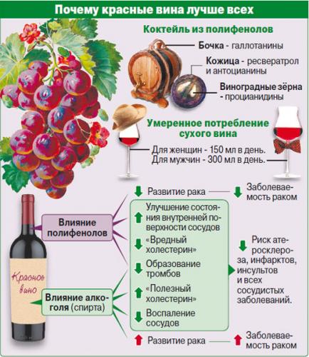 Польза красного вина