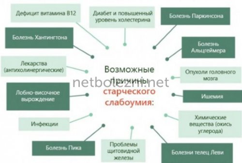 Грудное вскармливание защищает от слабоумия
