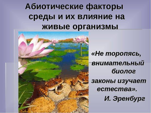 Анаэробные организмы