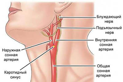Как перестать икать: избавление в домашних условиях