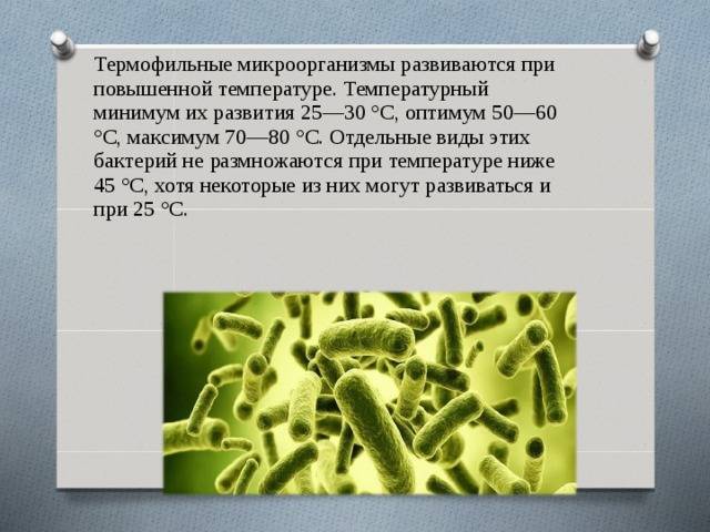 Как в лабораторных условиях определяют индекс бгкп и общую обсемененность продуктов