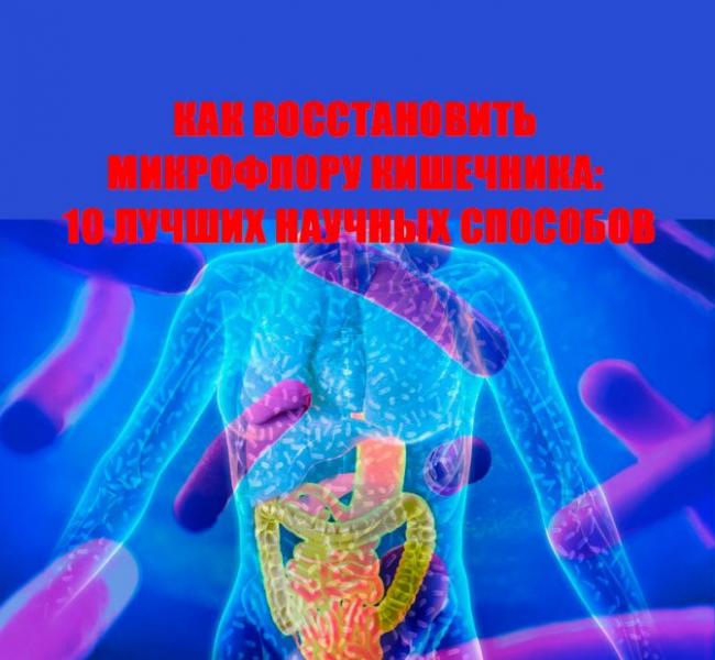 Питание для восстановления микрофлоры кишечника