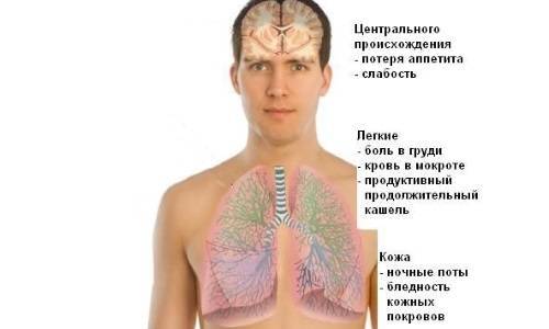 Диета при туберкулезе легких у взрослых и детей