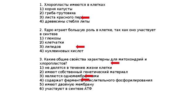 Органоиды движения